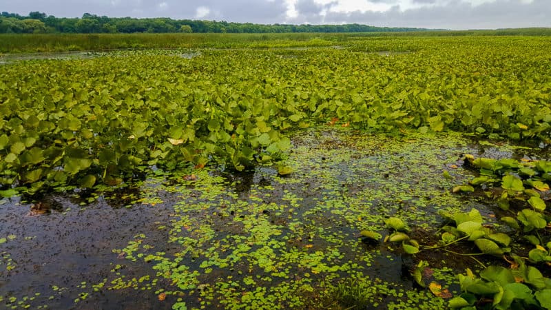 37 Amazing Things To Do In Ontario In The Summer For Your Bucket List ...