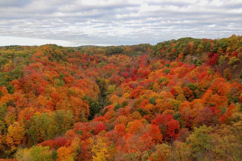 Hiking Dundas Peak, Tews Falls and Webster Falls: Everything You Need ...