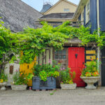 The colourful side of the Mermaid Store in Elora which makes for great pictures