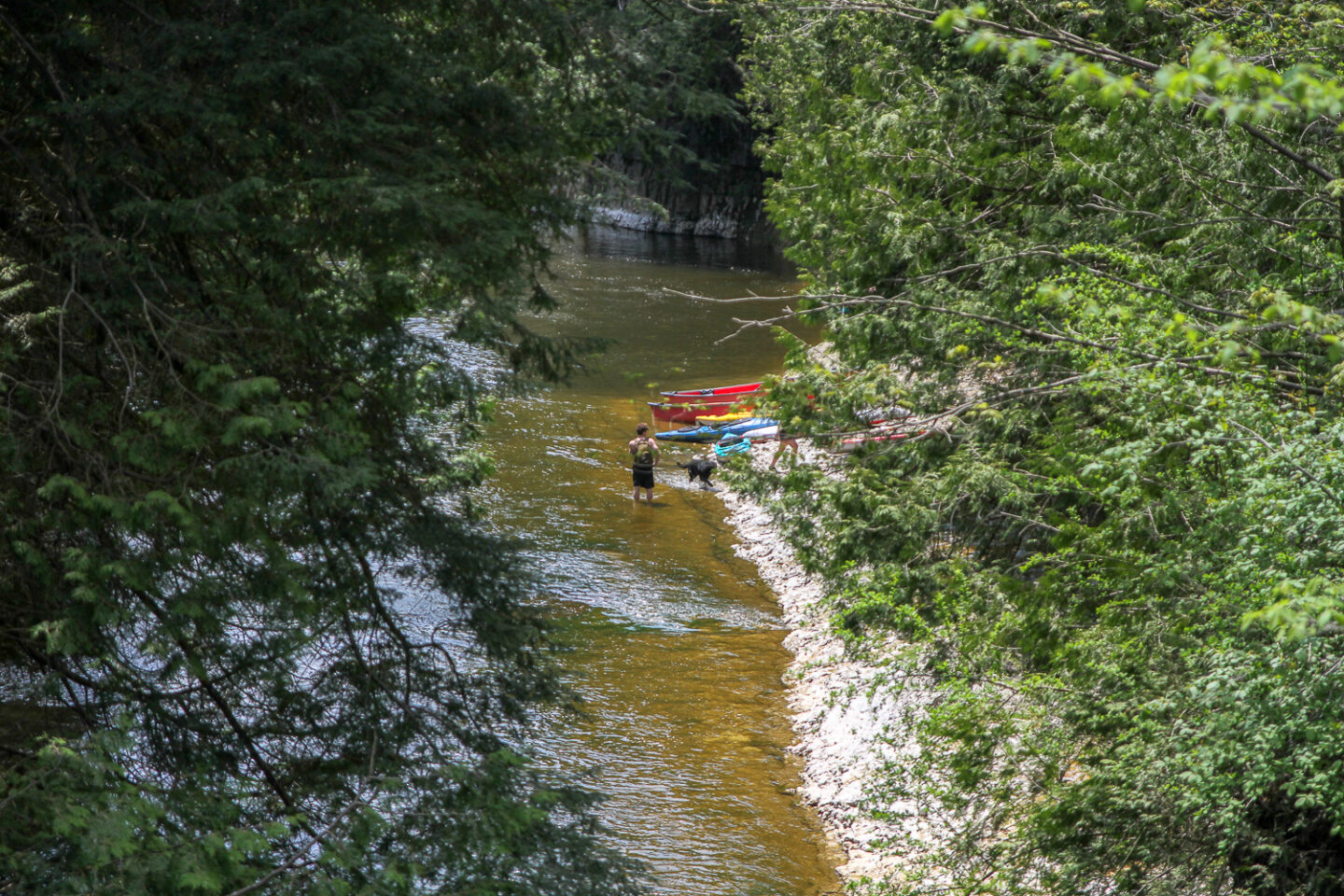 Water activities is a great thing to participate in at Elora